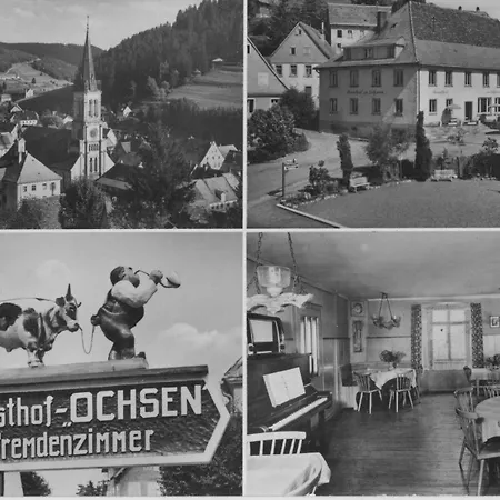 Zum Ochsen Guest house