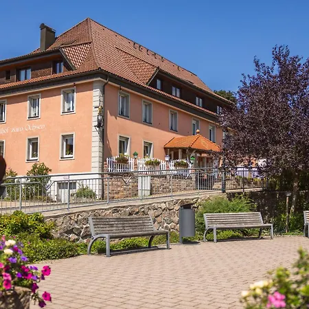 Zum Ochsen Guest house 2*