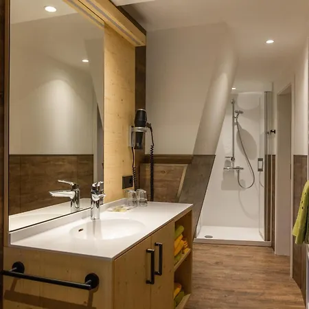 Zum Ochsen Guest house Vohrenbach